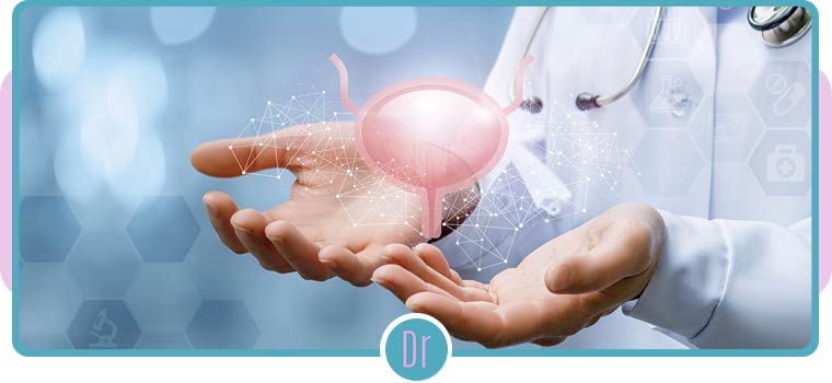 Bladder Lift Surgeon in Eugene, OR Bladder Lift Surgeon in Eugene, OR